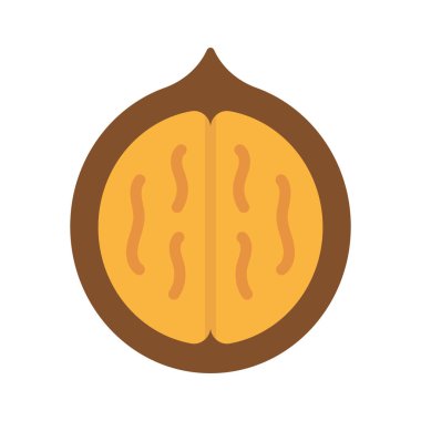 Ceviz yassı simge, vektör illüstrasyonu 