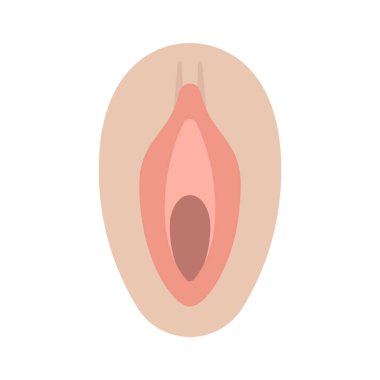 Vagina flat icon, vector illustration 