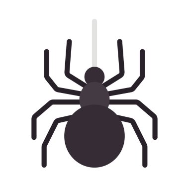 izole örümcek ikonu vektör tasarımı