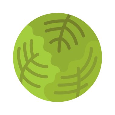 Lahana Web simgesi vektör illüstrasyonu