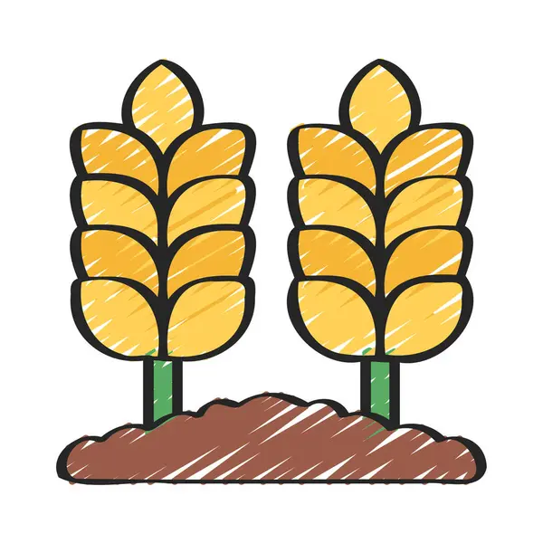 Wheat Field Icon Vector Illustration — Stock Vector