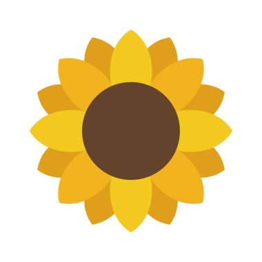 ayçiçeği izole edilmiş ikon vektör illüstrasyon tasarımı