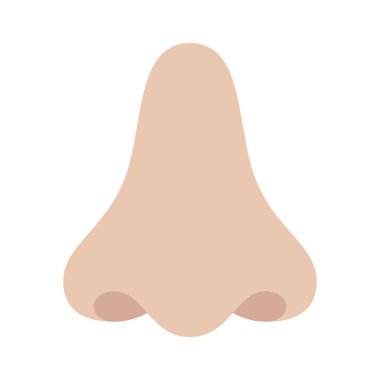 Burun ağ ikonu vektör illüstrasyonu 