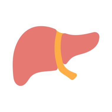 Karaciğer ağ ikonu vektör illüstrasyonu 