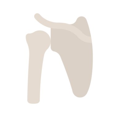 Omuz Kemikleri web simgesi vektör çizimi