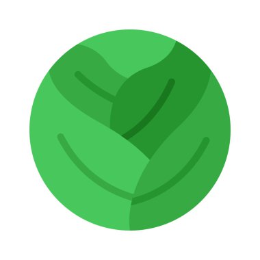 Lahana Web simgesi vektör illüstrasyonu