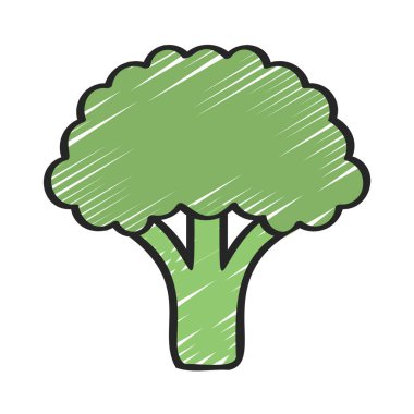  Beyaz arkaplanda brokoli sebzesi, vektör illüstrasyonu
