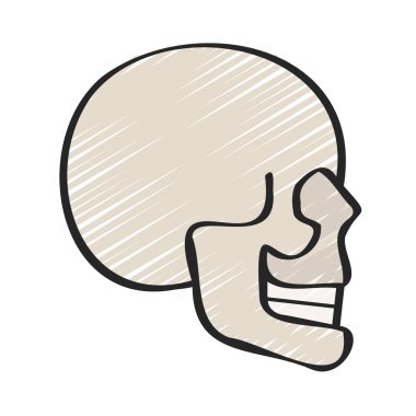 kafatası ikonu. İnce çizgi tasarımı. vektör illüstrasyonu.