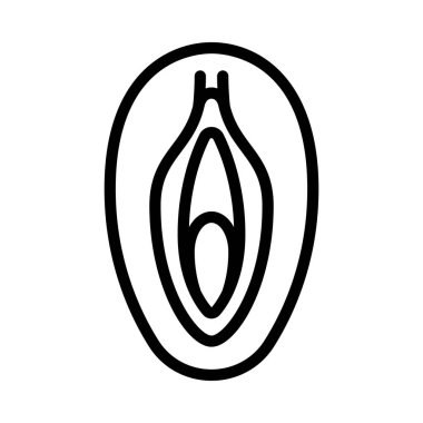 Vagina web icon vector illustration