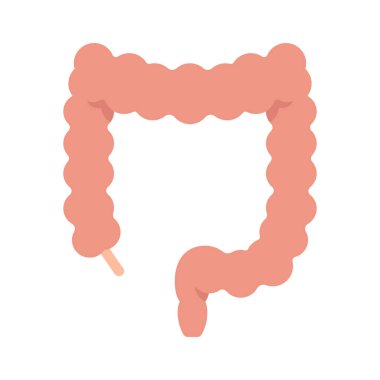 izole bağırsak tasarım vektörü