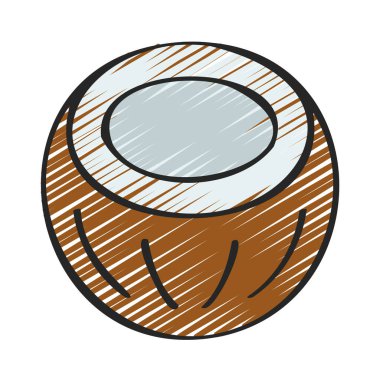 Hindistan cevizi simgesi vektör çizimi