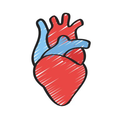 İnsan kalbi organı izole edilmiş vektör tasarımı