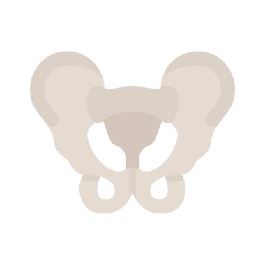 Pelvis web simgesi vektör illüstrasyonu