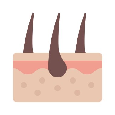 Saç kökleri web simgesi vektör illüstrasyonuName