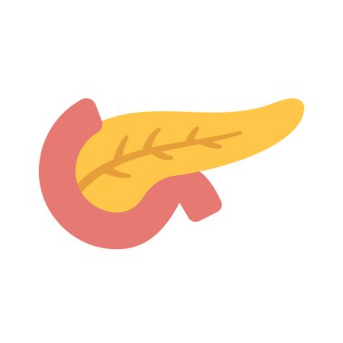 Pankreas web simgesi vektör çizimi