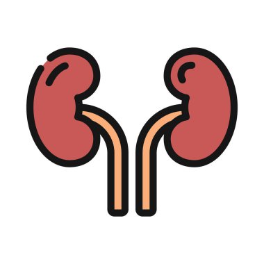 böbrekler web simgesi vektör çizimi