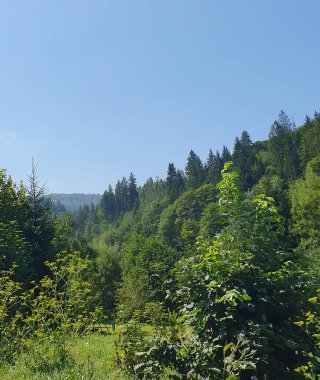 Uçsuz bucaksız bir dağ çayırı. Parlak yeşil çimenler ve çiçeklerle kaplı bir vadi. Yumuşak yamaçlar, dağılmış kayalar ve uzak orman alanları. Vadide küçük patikalar görebilirsiniz.