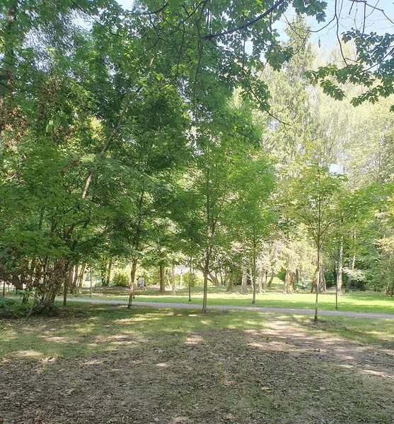 Şehir parkında güneşli bir yaz günü. Parlak yeşil çimenler, düzgün kaldırımlar ve gölgeli sokaklar yürümek ve dinlenmek için ideal bir yer. Temiz hava, yeşillik bolluğu, uyum havası.