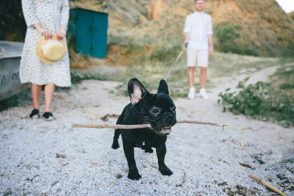 Teilansicht Von Paar Mit Schwarzer Französischer Bulldogge Auf Sommerlichen Hügeln Stockbild