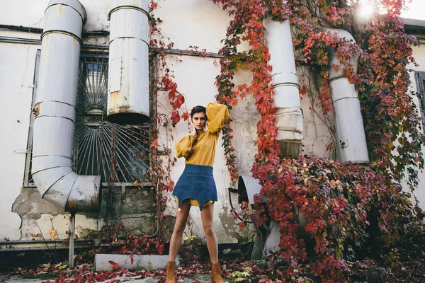 Jonge Vrouw Straat Met Kleurrijke Herfst Bladeren Rond — Stockfoto