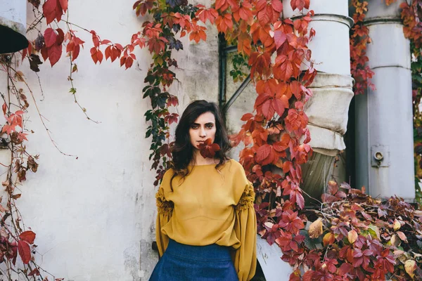 Young Woman Autumn Street Colorful Leaves — Stock Photo, Image