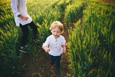 yaz günü yeşil buğday tarlasında küçük çocuklar