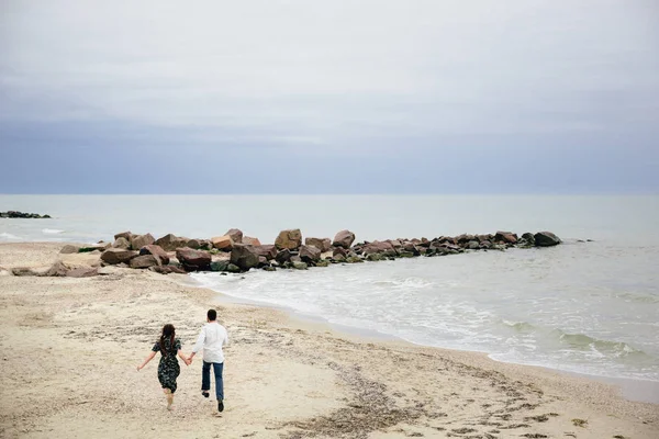 แฮปป กบนชายหาด — ภาพถ่ายสต็อก