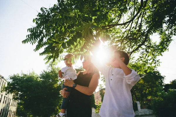 Mutter Und Zwei Kleine Jungen Einem Sonnigen Sommertag — Stockfoto