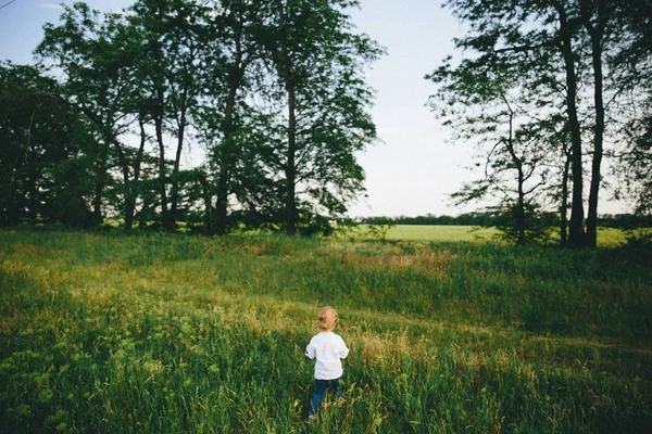 Little Boy White Shirt Standing Green Filed Summer Day — Stock Photo, Image