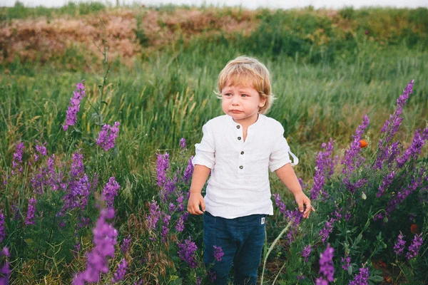 Liten Pojke Lavendel Och Lupine Fält Sommardag — Stockfoto
