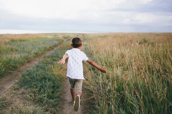 Little girl running cross the wheat field at sunset. Back view. Slow motion — Stock Photo, Image