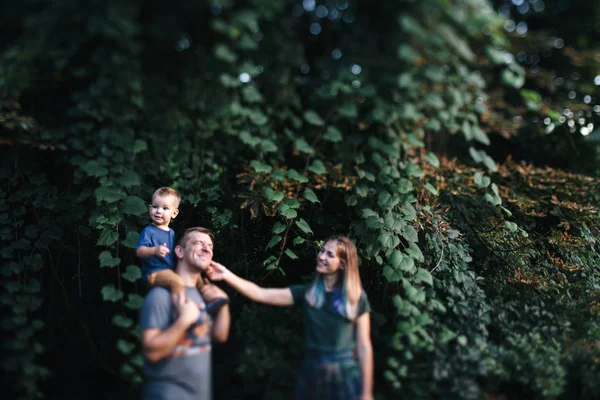 Счастливая молодая семья отец, мать и маленький сын обнимаются и трогают на улице, играя вместе в летнем парке Лицензионные Стоковые Фото