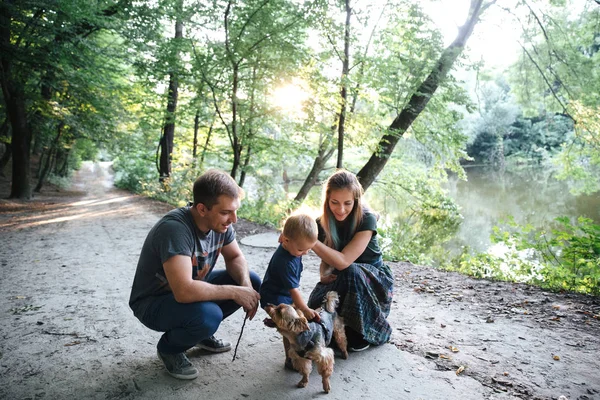 Счастливая веселая молодая семья отец, мать и маленький сын веселятся на свежем воздухе с собакой, играя вместе в летнем парке Лицензионные Стоковые Изображения