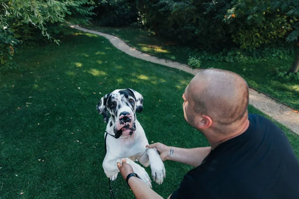 Mann mit Hund beim Spielen im Park. Junger Besitzer umarmt sein Haustier — Stockfoto