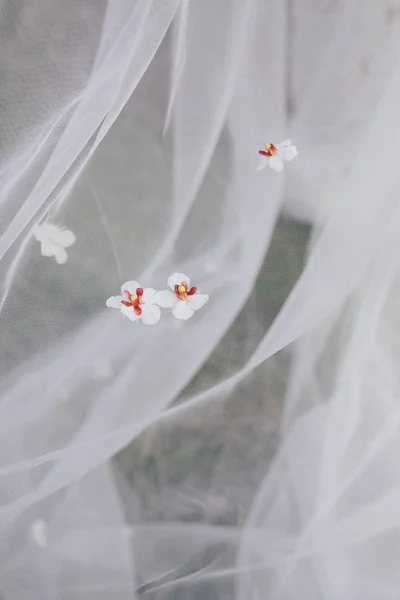 ดอกไม้บนผ้าคลุมสีเบจ — ภาพถ่ายสต็อก