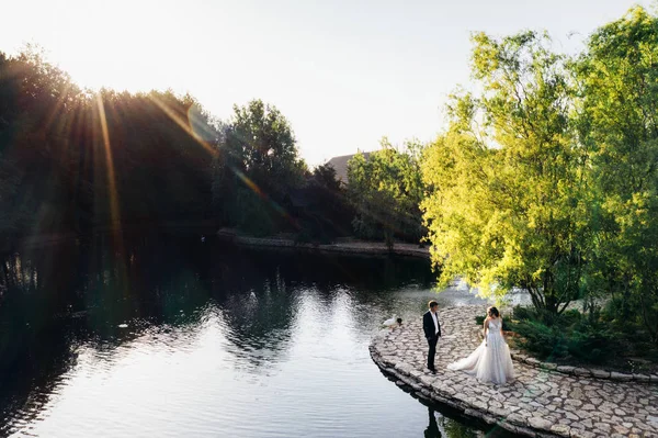 Güneşli bir yaz günü ve yeni evliler mavi göller ve yeşil ormanlar bankanın drone üst görünümü. drone fotoğrafçılığı