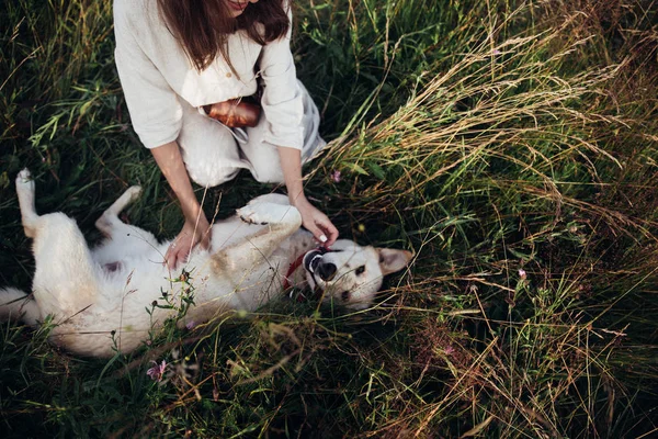 Mädchen und ihr befreundeter Hund spielen auf dem Strohfeld. schöne junge Frau entspannt und unbeschwert genießen einen sommerlichen Sonnenuntergang mit ihrem schönen Hund — Stockfoto