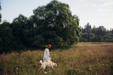 Güzel genç kadın saman alan arka planda onu güzel köpek ile bir yaz günbatımı zevk rahat ve kaygısız