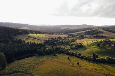 Ormanlar, çayırlar ve drone, Ukrayna ile alınan Karpat Dağları tepelerinde