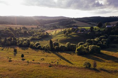 Ormanlar, çayırlar ve drone, Ukrayna ile alınan Karpat Dağları tepelerinde
