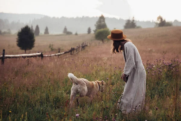 Menina e seu cão estão jogando no fundo do campo de palha. Bela jovem mulher relaxada e despreocupada desfrutando de um pôr do sol de verão com seu lindo cão — Fotografia de Stock