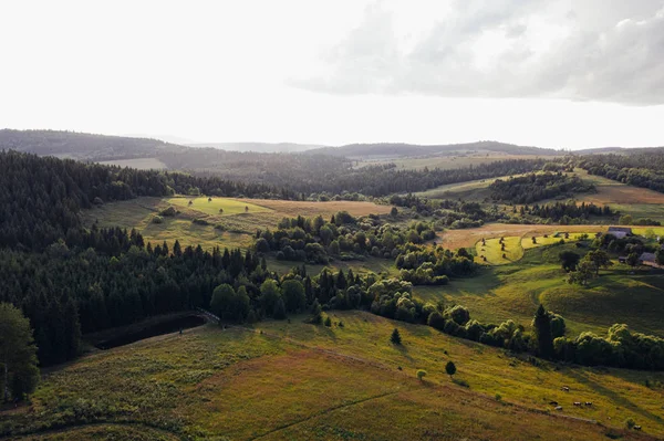 Ormanlar, çayırlar ve drone, Ukrayna ile alınan Karpat Dağları tepelerinde