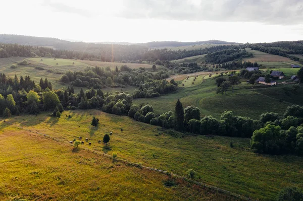 Ormanlar, çayırlar ve drone, Ukrayna ile alınan Karpat Dağları tepelerinde