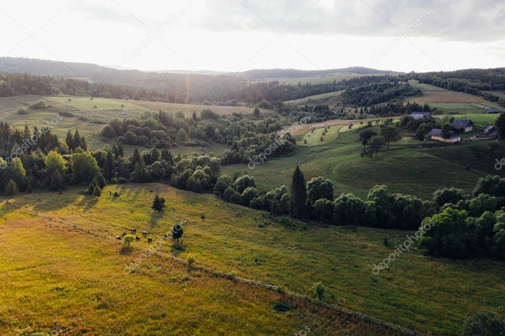 Forests, meadows and hills of the Carpathian mountains taken with drone, Ukraine
