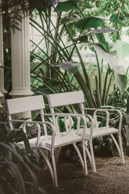 Bahçe bitkileri ile bir column yakınındaki beyaz sandalye