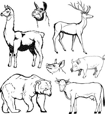 vektör, hayvan seti, grafik, Monogram, siyah, el çizimi, ayı, sığır, geyik, domuz eti, Lama