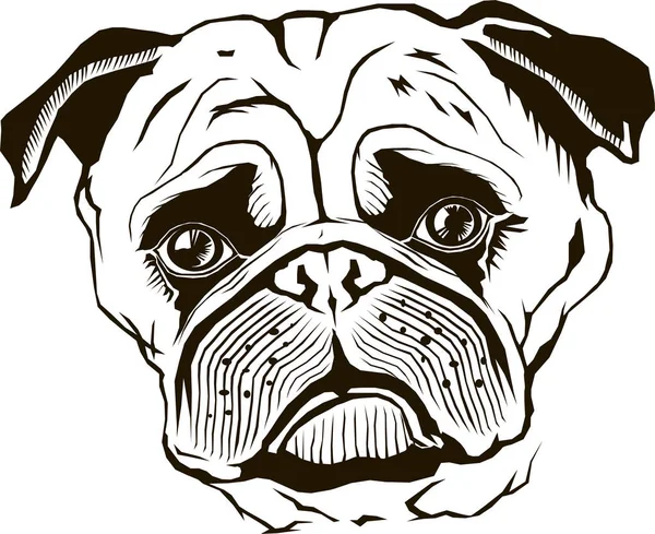 Pug muzzle, vector illustration, black, isolated, monogram, graphic, stencil — Stock Vector