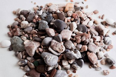 Seashell denizden bir hediyedir