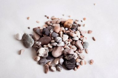 Seashell denizden bir hediyedir