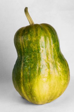 balkabağı beyaz zemin üzerine masada bir stand